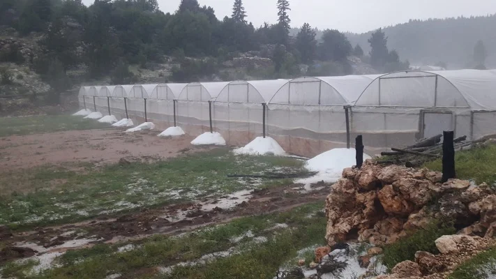 Erdemli'de sağanak tarım alanlarında hasara neden oldu