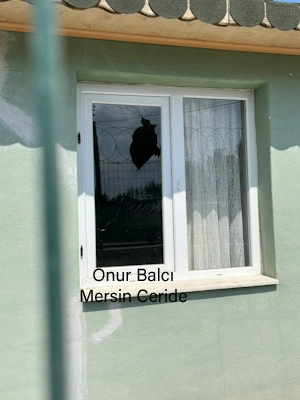 Cemevi'nin camlarını kırdılar, pencereleri zorladılar 