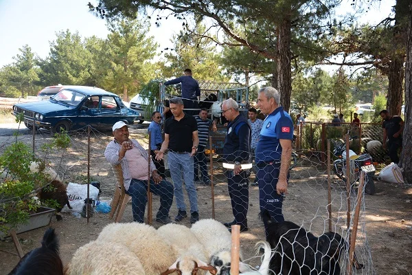 Gülnar Belediyesi Tarafından Düzenlenen Kurban Satış Yeri Vatandaşların Hizmetine Sunuldu