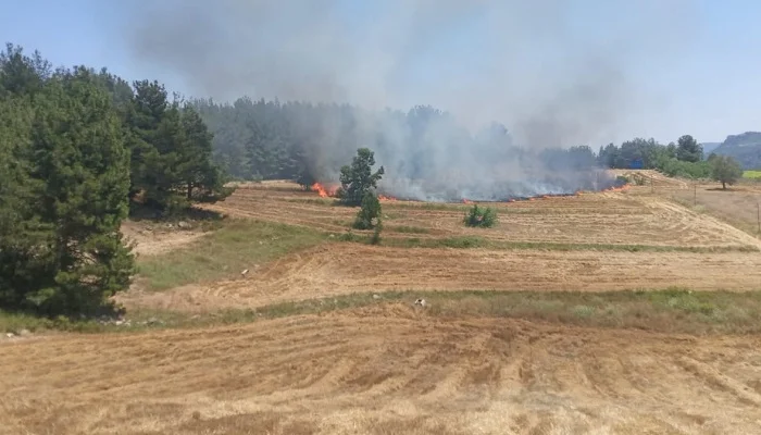 Çamlıyayla'da tarlada çıkan yangın ormana sıçramadan söndürüldü