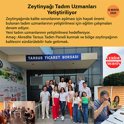 Zeytinyağı Tadım Uzmanları Yetiştiriliyor