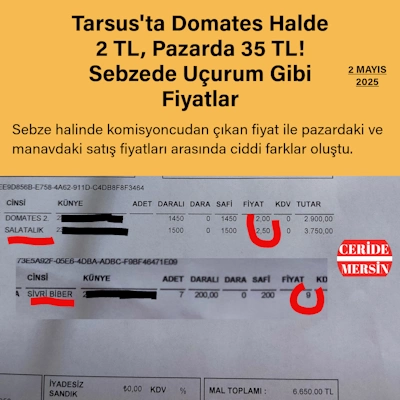Domates Halde 2 TL, Pazarda 35 TL! Sebzede Uçurum Gibi Fiyatlar