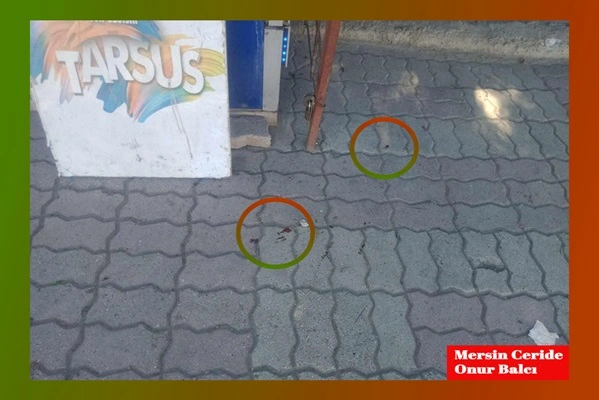 Tarsus Yeni Mahalle'de bir kişiye silahlı saldırı yapıldı 
