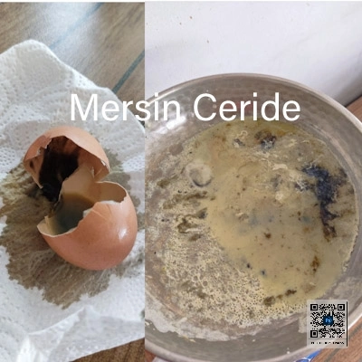 Tarsusluların sağlığı bu kadar ucuz mu?