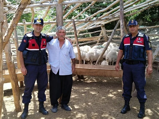 Gülnar'da küçükbaş hayvan çalan 2 kişi tutuklandı