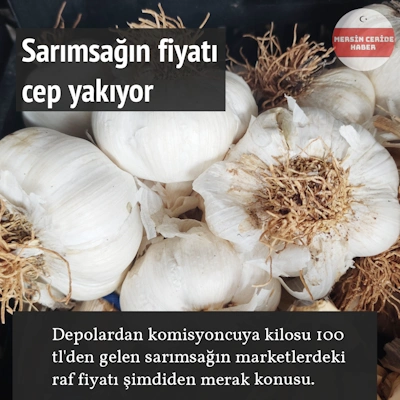 Sarımsağın fiyatı cep yakıyor