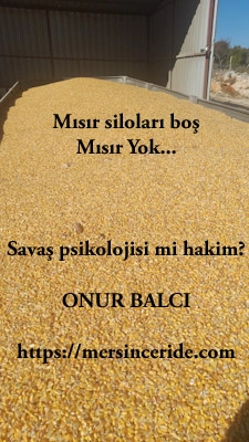 Tarsus'taki tüm mısır siloları boş, savaş psikolojisi mi hakim?