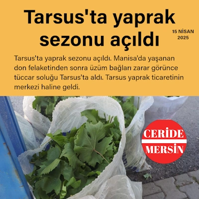 Tarsus'ta yaprak sezonu açıldı 