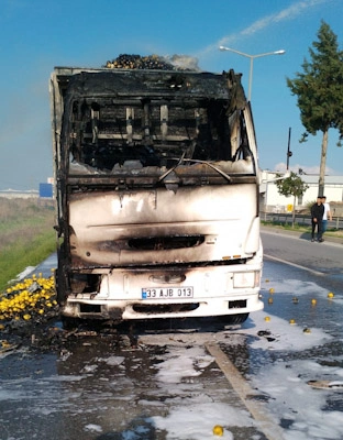Tarsus'ta limon yüklü kamyonda çıkan yangın söndürüldü