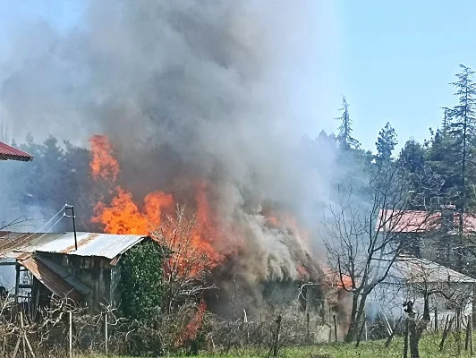 Çamlıyayla'da müstakil evde çıkan yangın söndürüldü