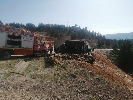 Erdemli'de tırın devrilmesi sonucu 60 küçükbaş hayvan telef oldu