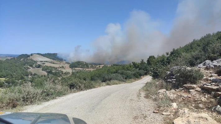 Tarsus Çavuşlu Mahallesi'nde çıkan orman yangınına müdahale ediliyor