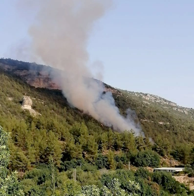Erdemli'de orman yangını çıktı