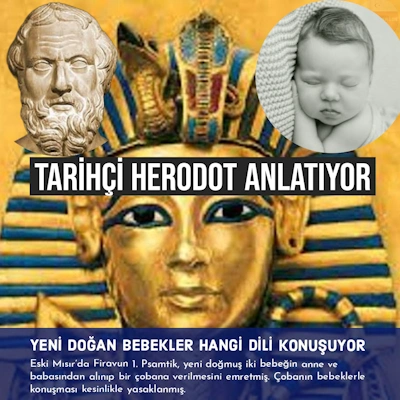 Tarihçi Herodot anlatıyor bebekler hangi dili konuşur?