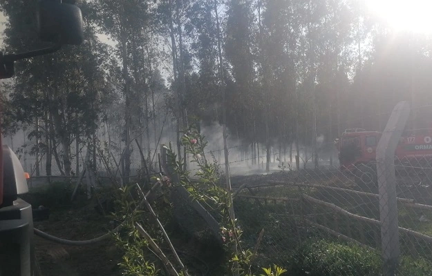 Tarsus'ta ormanlık alanda çıkan yangın söndürüldü